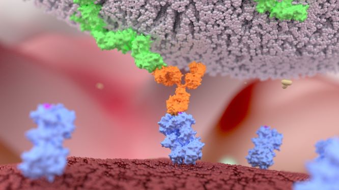 Eurofins Viracor BioPharma Clinical Research Assay Development and