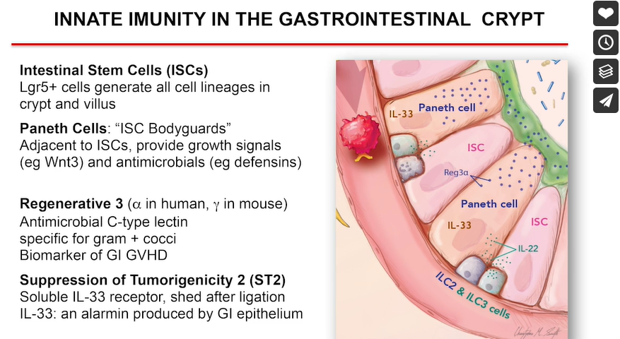 Using the MAGIC Algorithm Probability (MAP) to Guide Acute GVHD Treatment