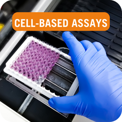 Cell-based Assays