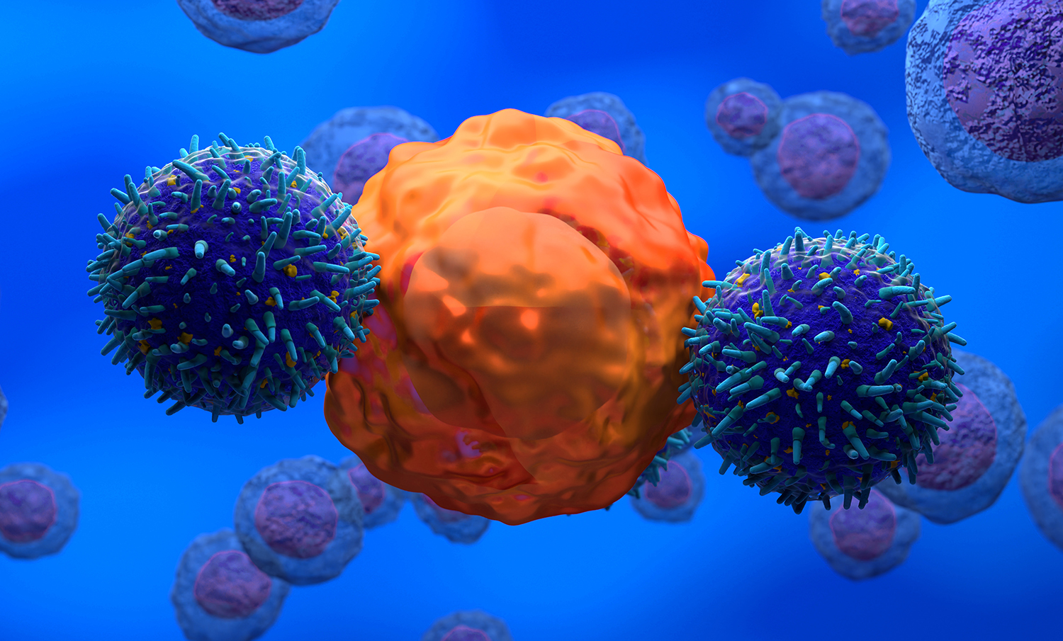 The Eurofins Viracor ExPeCT™ (Expansion and Persistence of CAR T-cells) anti-CD19 (FMC63) CAR T-cell Assay Test