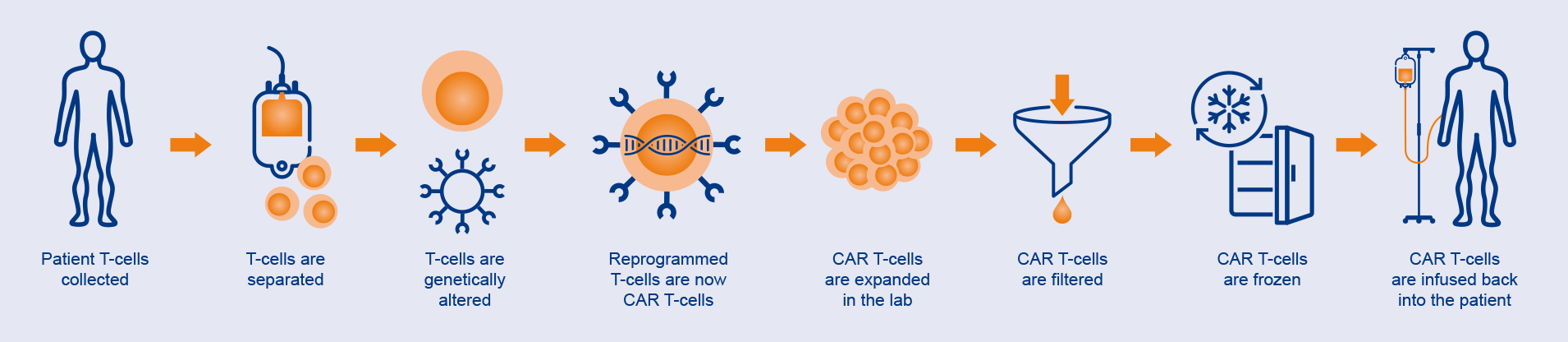 CAR T process diagram infographic