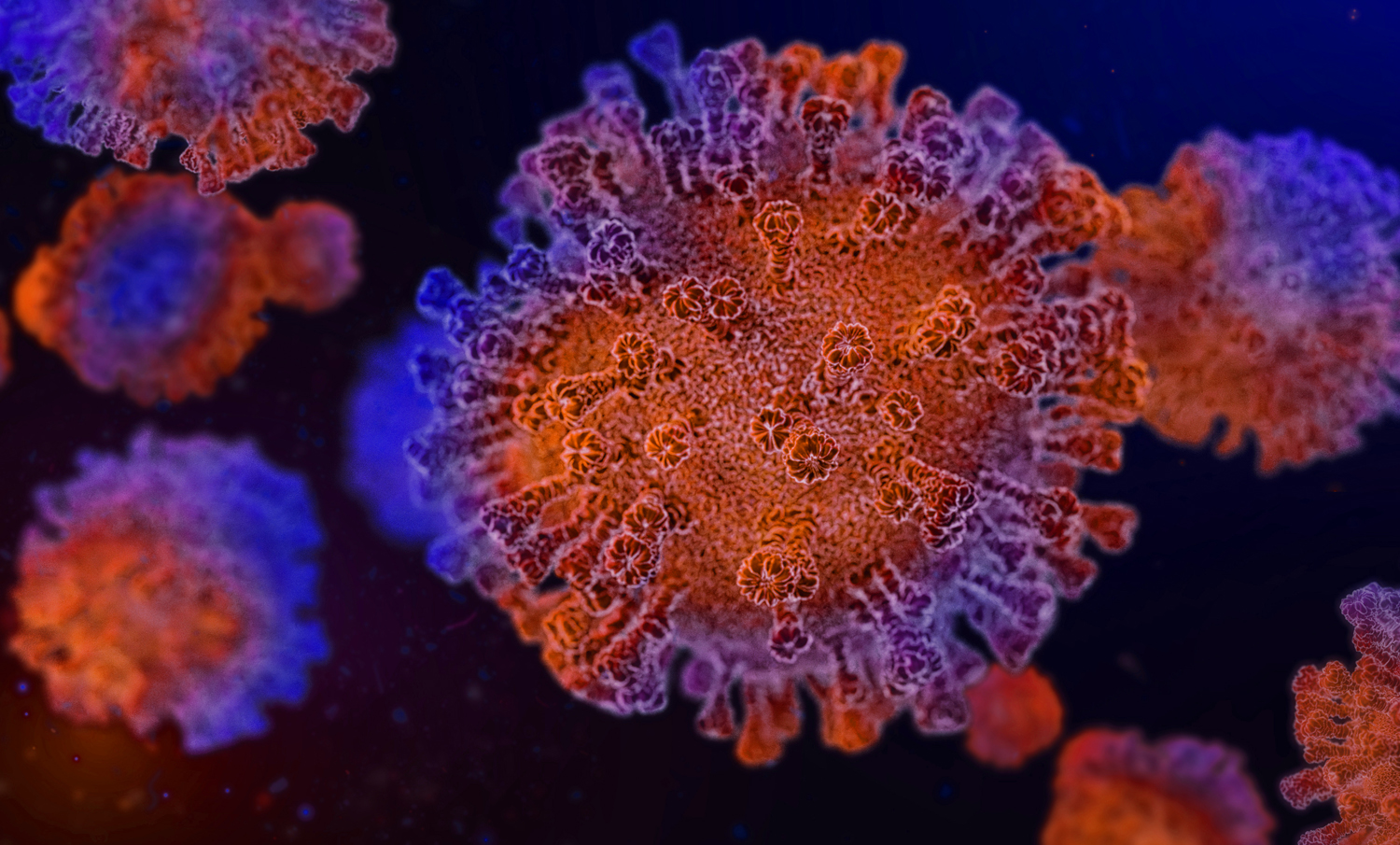 Eurofins Viracor Launches BKV inSIGHT™ T-Cell Immunity Panel to Support BK Virus Immune Monitoring in Kidney Transplant Patients