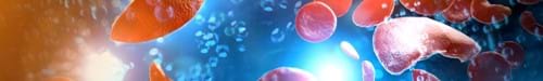 Hemoglobin Solubility Test Sickle Cell